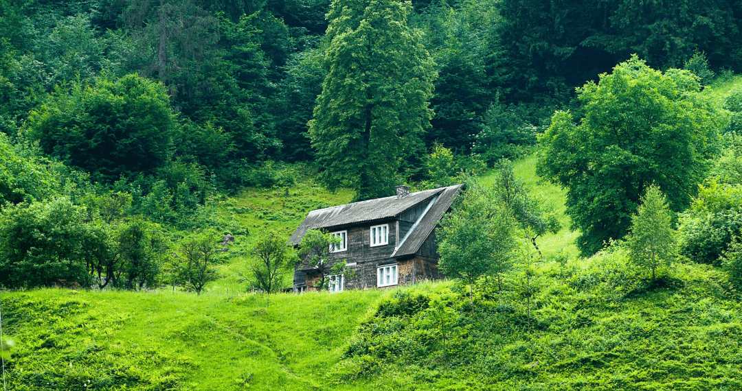 Environmental issues are a core part of our company ethos