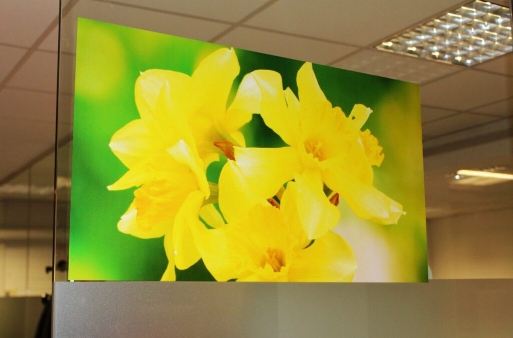 Stafix Sticks with Static not Glue