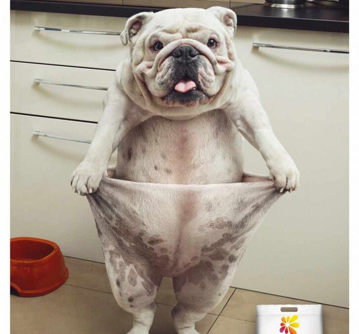 Most creative Outdoor Print from around the world, June – July 2014